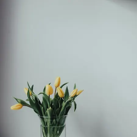 Apartament Harmony